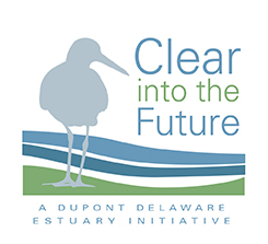 Clear into the Future Logo